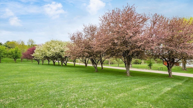 view of property's community with a yard