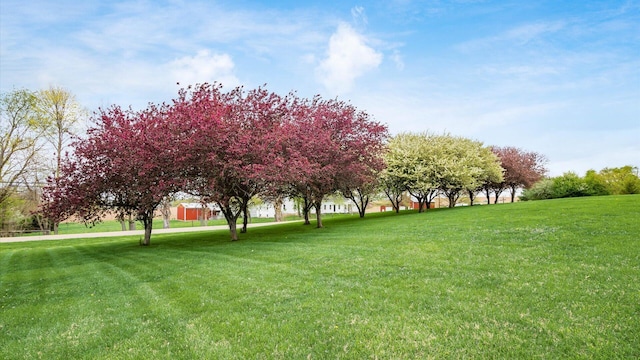 view of property's community with a yard