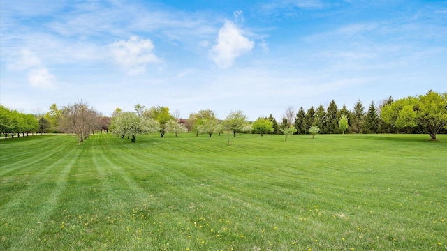 view of yard with view of golf course