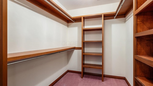 walk in closet featuring carpet