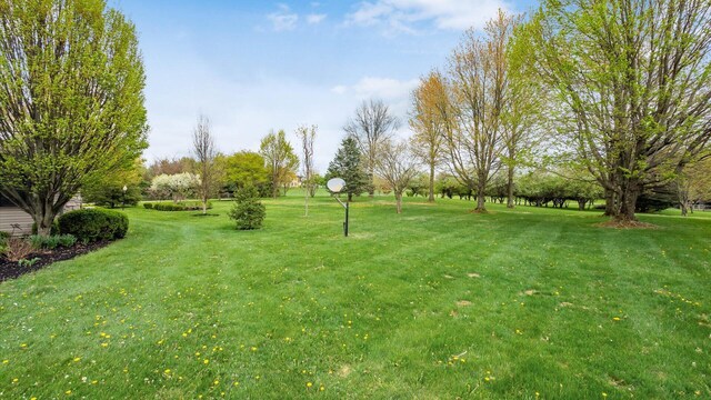 view of yard