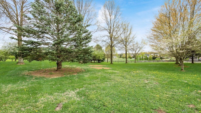 view of yard with fence