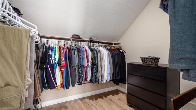 3555 Sellers Dr NE, Millersport, OH 43046 - spacious closet with wood finished floors and vaulted ceiling