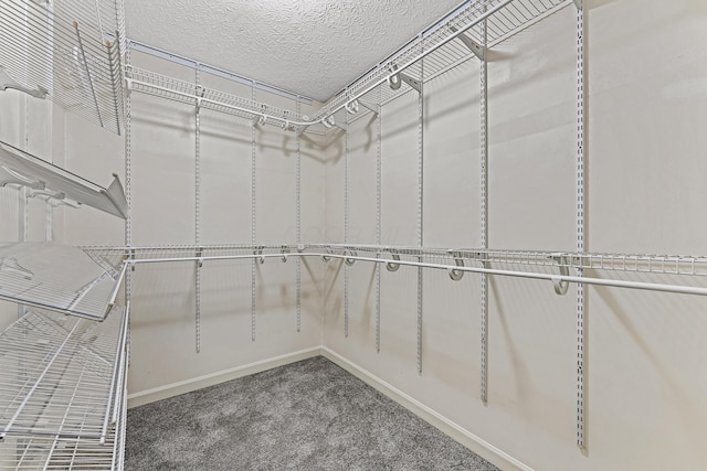 spacious closet with carpet