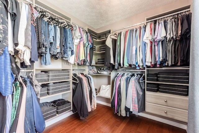 walk in closet featuring wood finished floors
