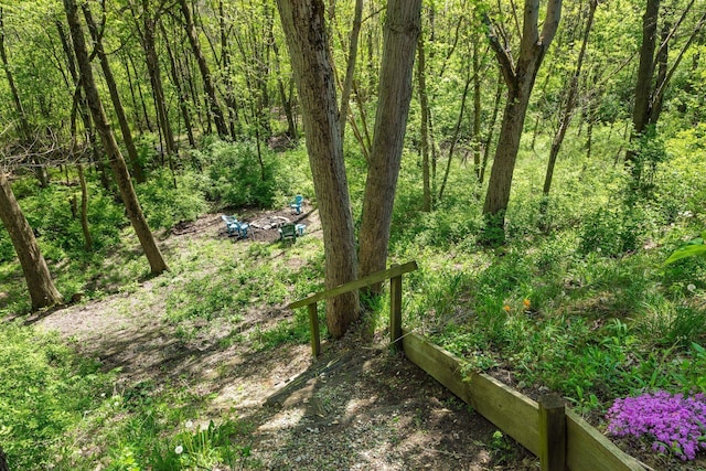 view of local wilderness with a forest view
