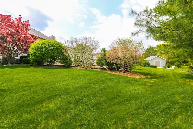 view of yard