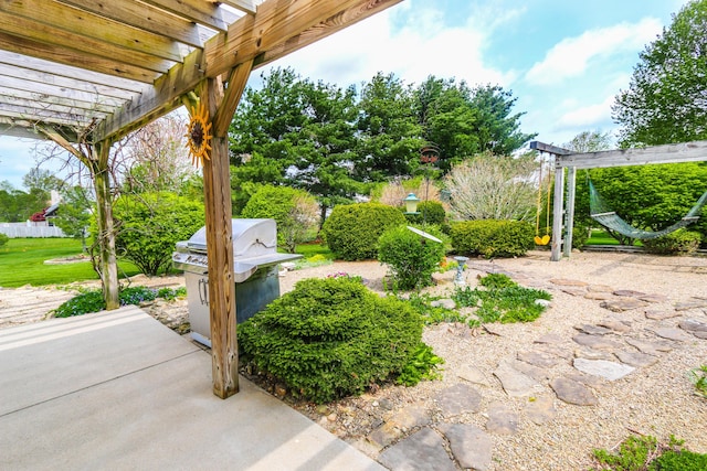 view of yard featuring a patio, a pergola, and exterior kitchen