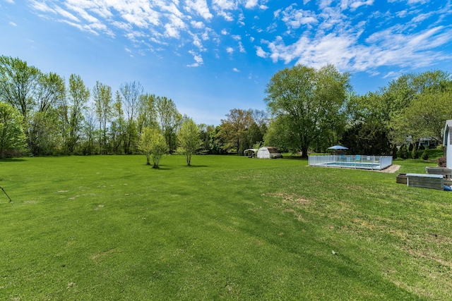 view of yard featuring a storage shed, an outdoor structure, and an outdoor pool