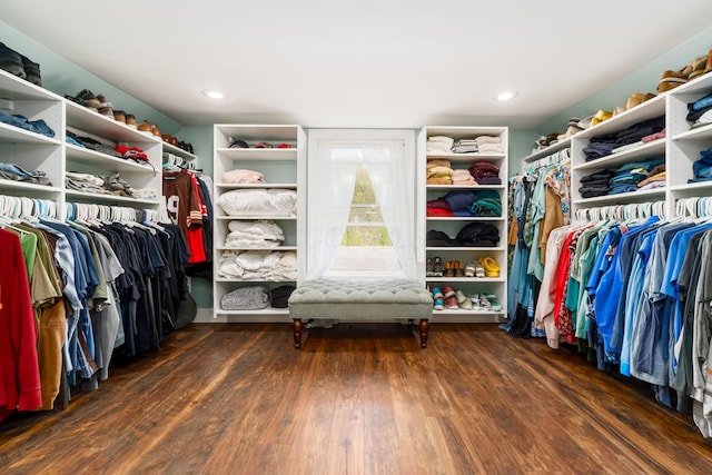 spacious closet featuring wood finished floors