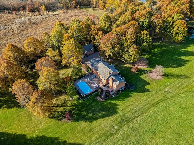 drone / aerial view