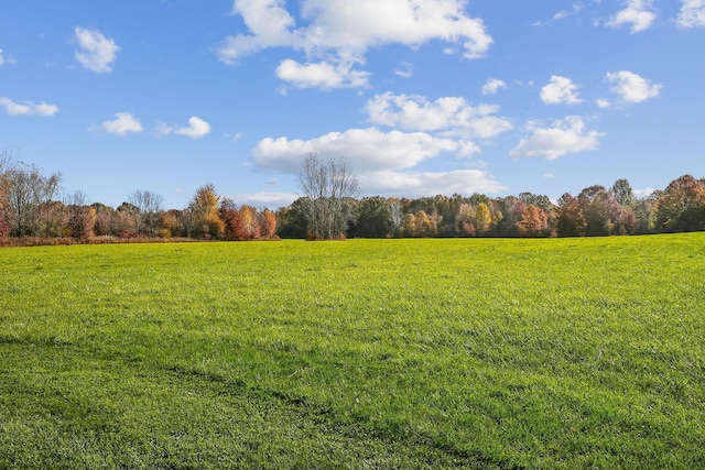 view of local wilderness with a wooded view