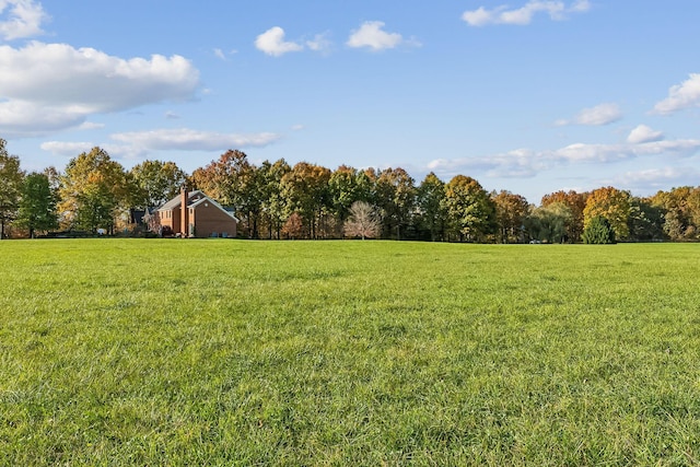 view of yard featuring a view of trees and a rural view
