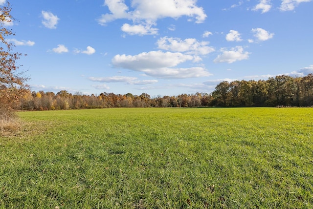 view of yard with a rural view and a forest view