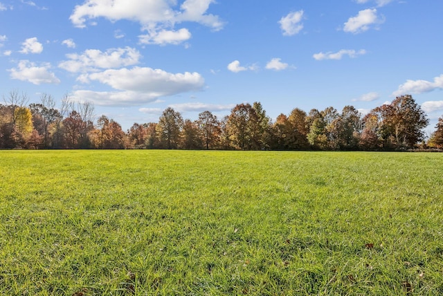 view of yard with a rural view