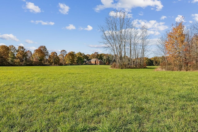 view of yard featuring a rural view