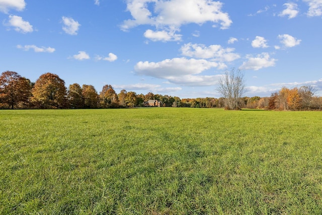 view of local wilderness with a rural view