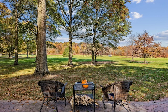 view of yard with a patio area