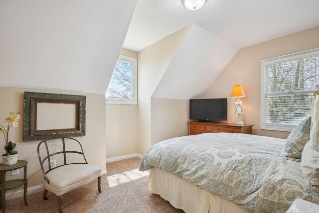 14121 Perfect Rd, Sunbury, OH 43074 - photo 96