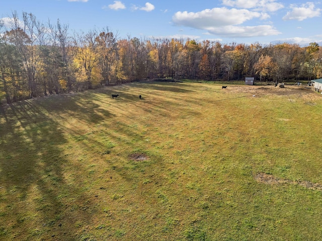 14121 Perfect Rd, Sunbury, OH 43074 - photo 120