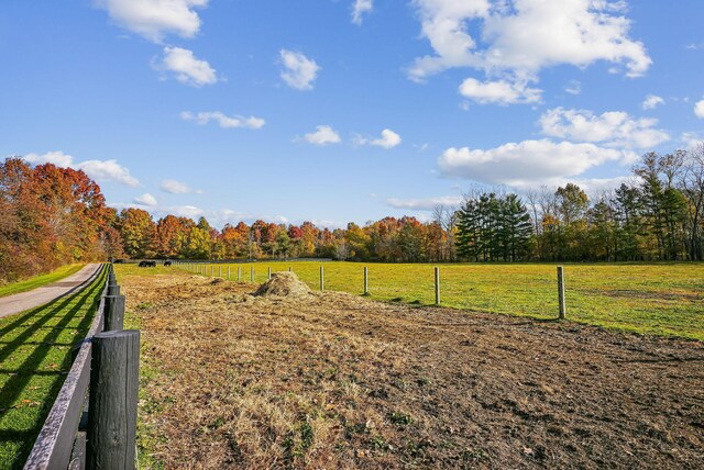 14121 Perfect Rd, Sunbury, OH 43074 - photo 118
