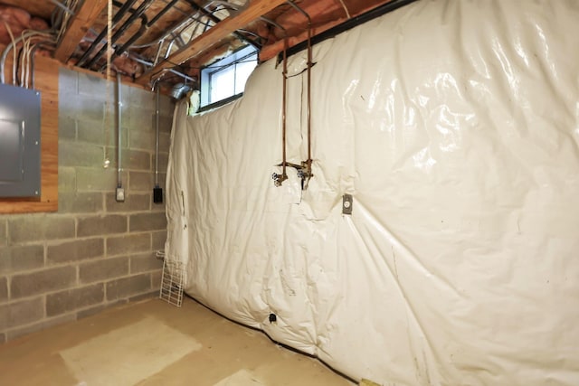 below grade area with concrete block wall and electric panel