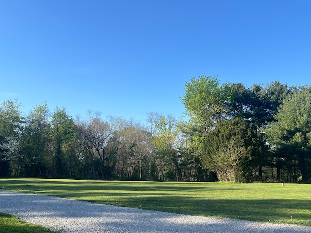 view of community with a yard