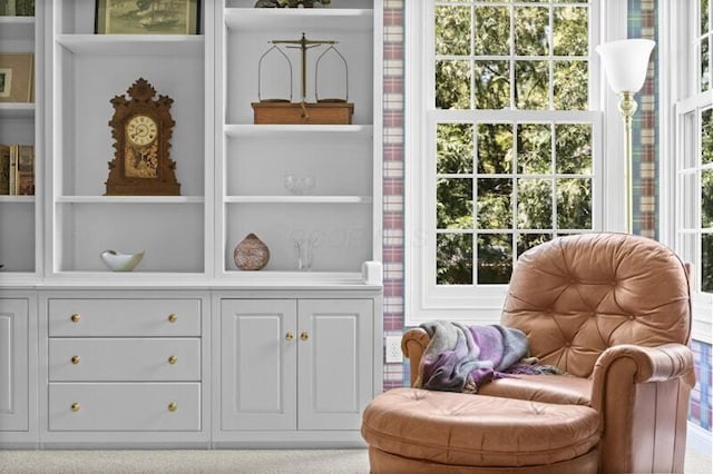sitting room with built in features and a wealth of natural light