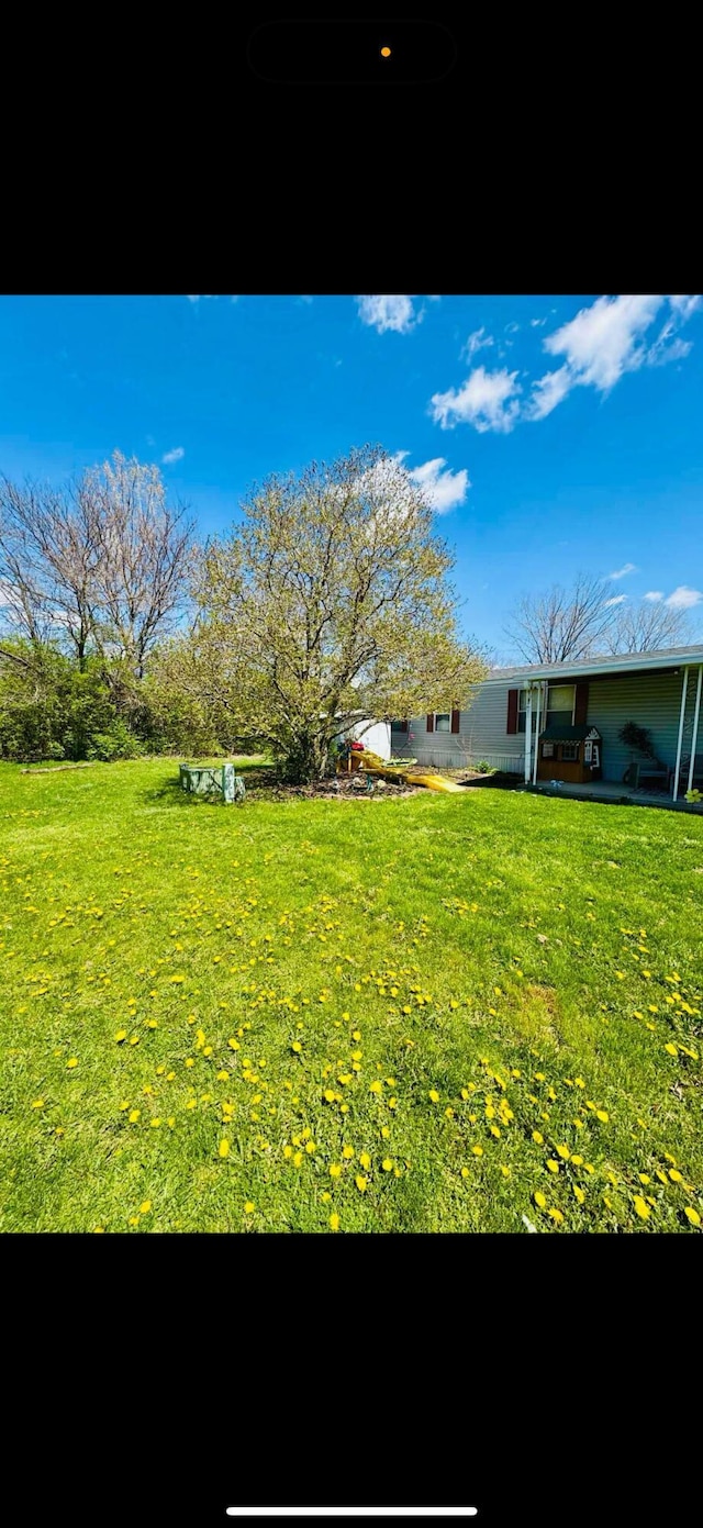 view of yard