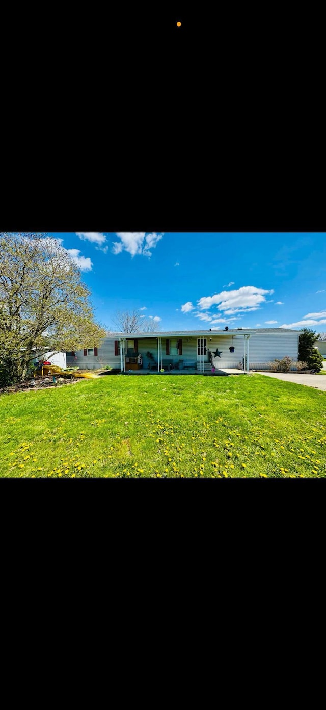 rear view of property with a yard