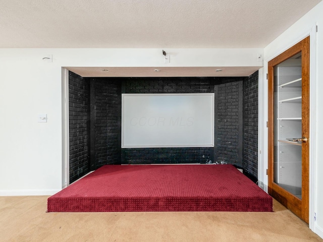 cinema with carpet floors, baseboards, and brick wall