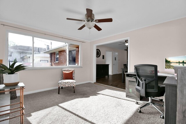 895 Janet Dr, Columbus, OH 43224 - home office with carpet flooring, a ceiling fan, baseboards, and crown molding