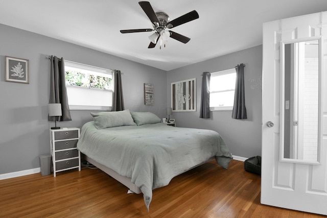 895 Janet Dr, Columbus, OH 43224 - bedroom with baseboards, ceiling fan, wood finished floors, and multiple windows