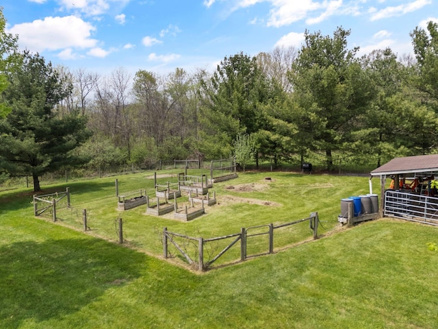 view of yard featuring a vegetable garden