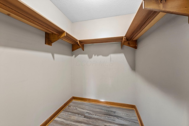 spacious closet with wood finished floors