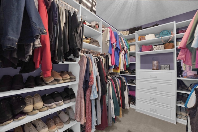 4441 Butler Farms Dr, Columbus, OH 43207 - spacious closet with carpet flooring