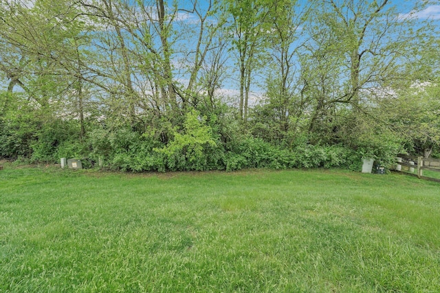 4441 Butler Farms Dr, Columbus, OH 43207 - view of grassy yard