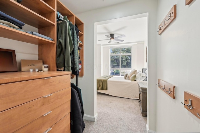 walk in closet with a ceiling fan and light colored carpet