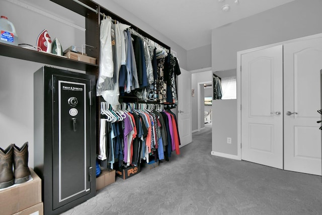 5914 Grant Run Estates Dr, Grove City, OH 43123 - spacious closet featuring carpet flooring