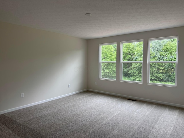 9920 Glenfield Ct Lot 51, Plain City, OH 43064 - unfurnished room with carpet flooring and a textured ceiling