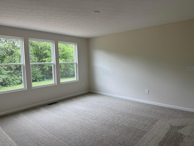 9920 Glenfield Ct Lot 51, Plain City, OH 43064 - carpeted spare room featuring plenty of natural light and a textured ceiling
