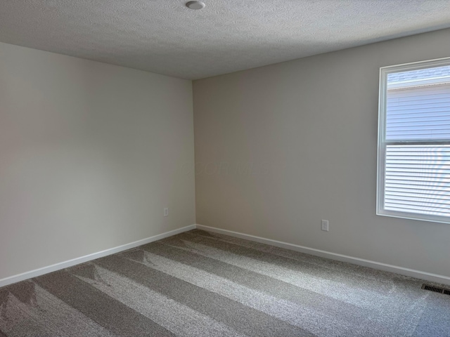 9920 Glenfield Ct Lot 51, Plain City, OH 43064 - spare room with carpet and a textured ceiling