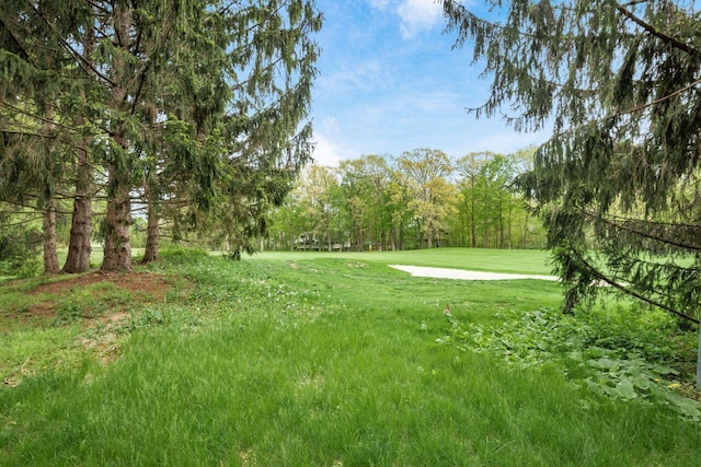 4917 Whistlewood Ln Unit 5, Westerville, OH 43081 - view of yard