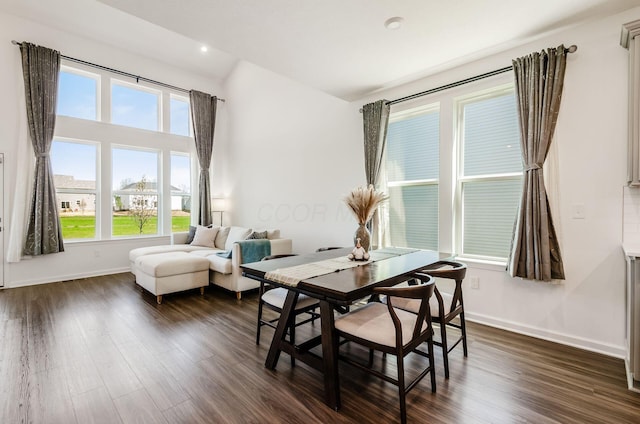 interior space with a healthy amount of sunlight, baseboards, and dark wood-style flooring
