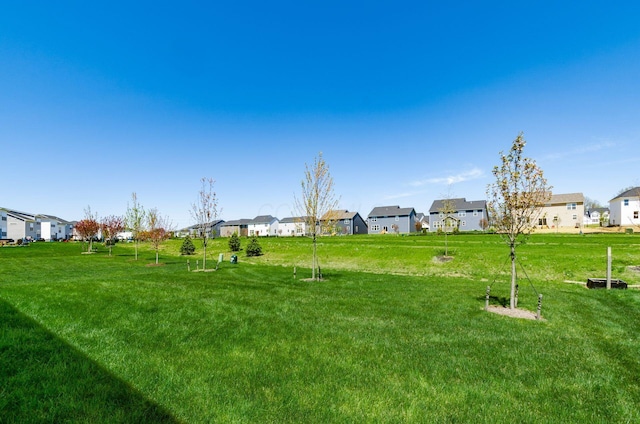 view of yard featuring a residential view