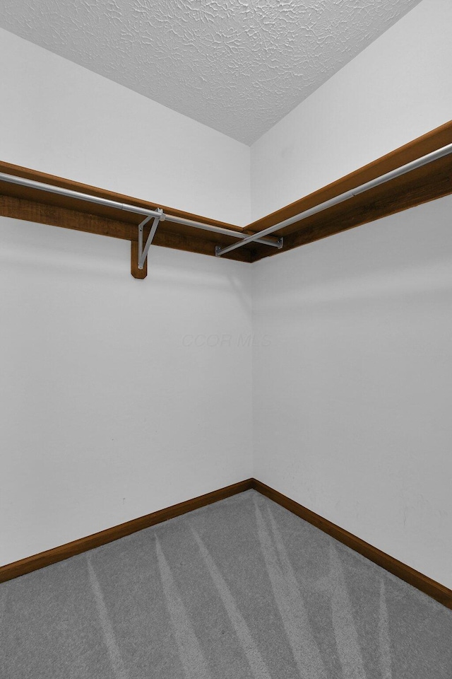 spacious closet with carpet flooring