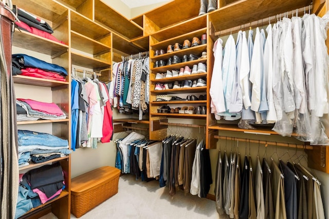 12385 Woodsfield Cir E, Pickerington, OH 43147 - walk in closet featuring carpet floors
