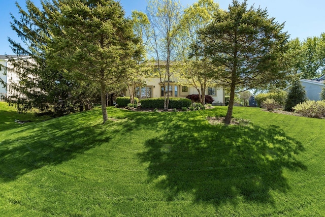 12385 Woodsfield Cir E, Pickerington, OH 43147 - view of yard