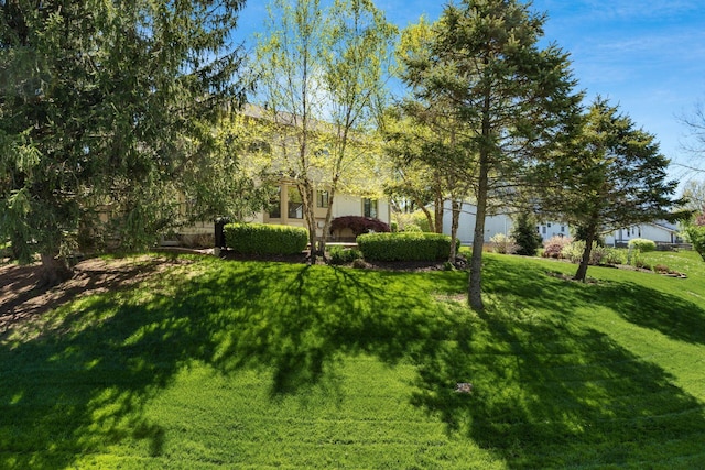 12385 Woodsfield Cir E, Pickerington, OH 43147 - view of yard