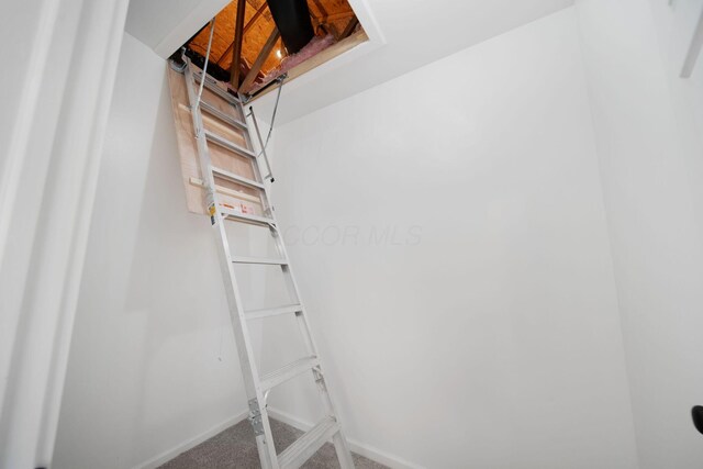 walk in closet featuring carpet floors